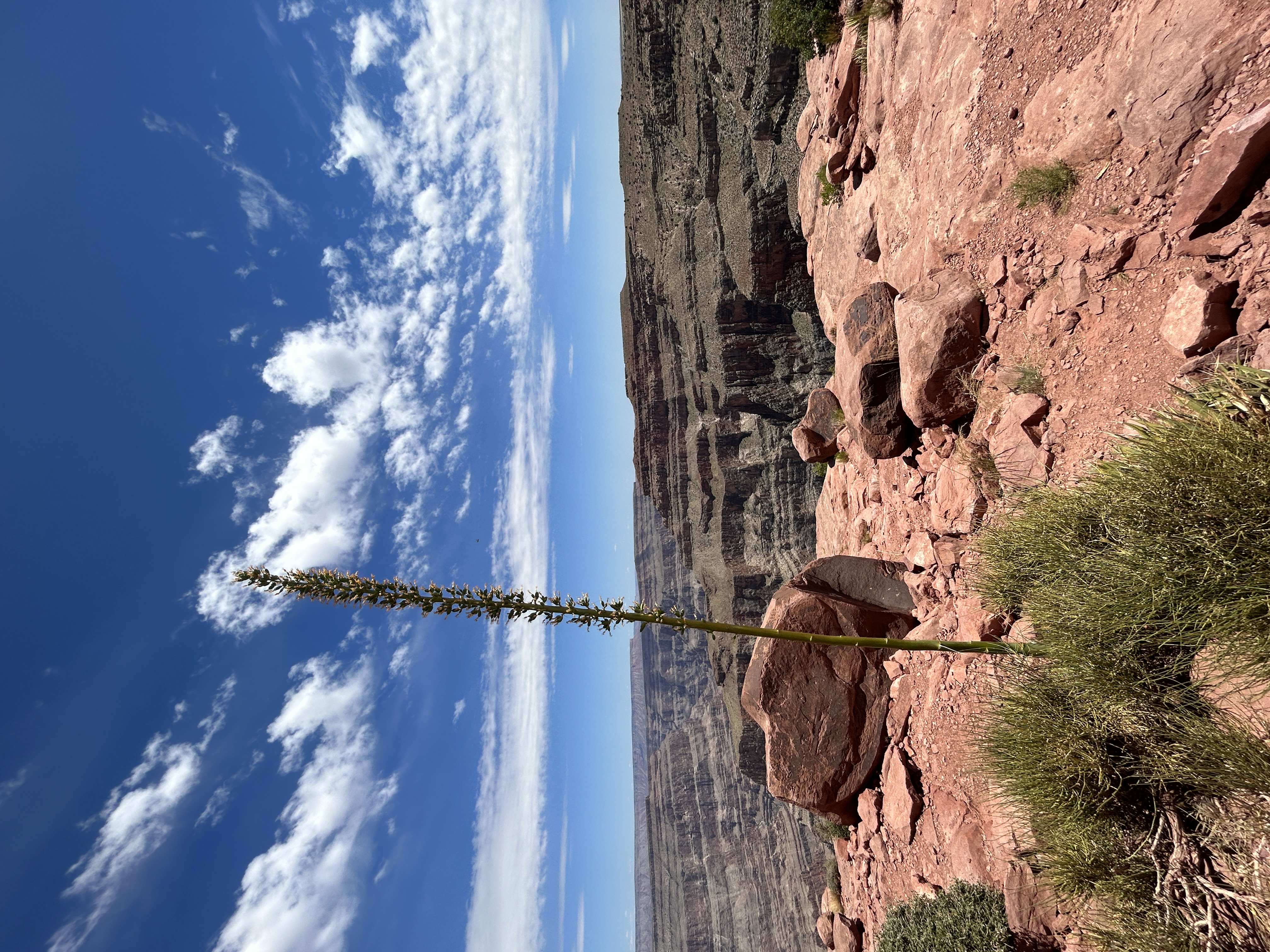 Navina's Grand Canyon Trip