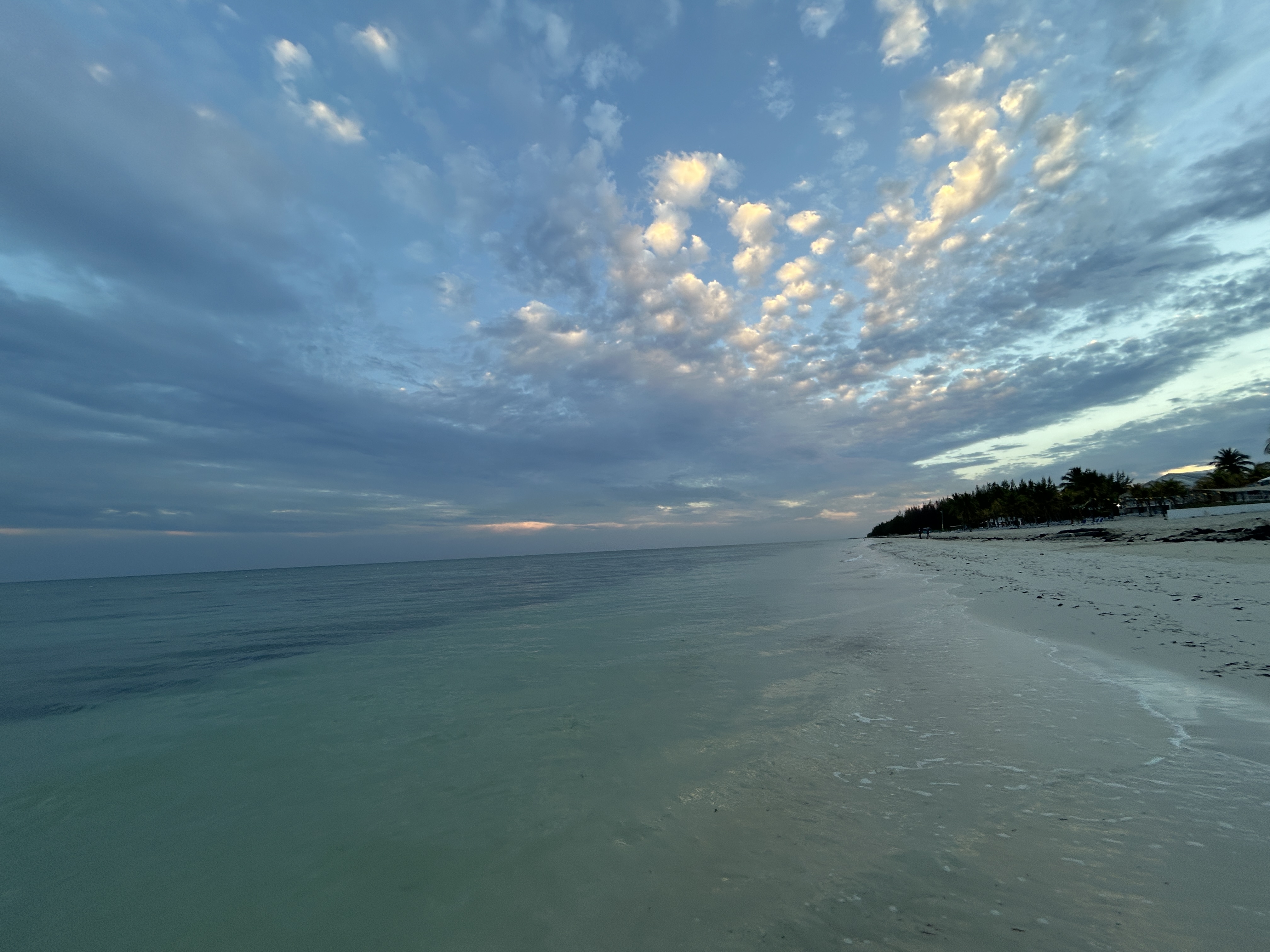 Navina's Trip to the Bahamas by the ocean