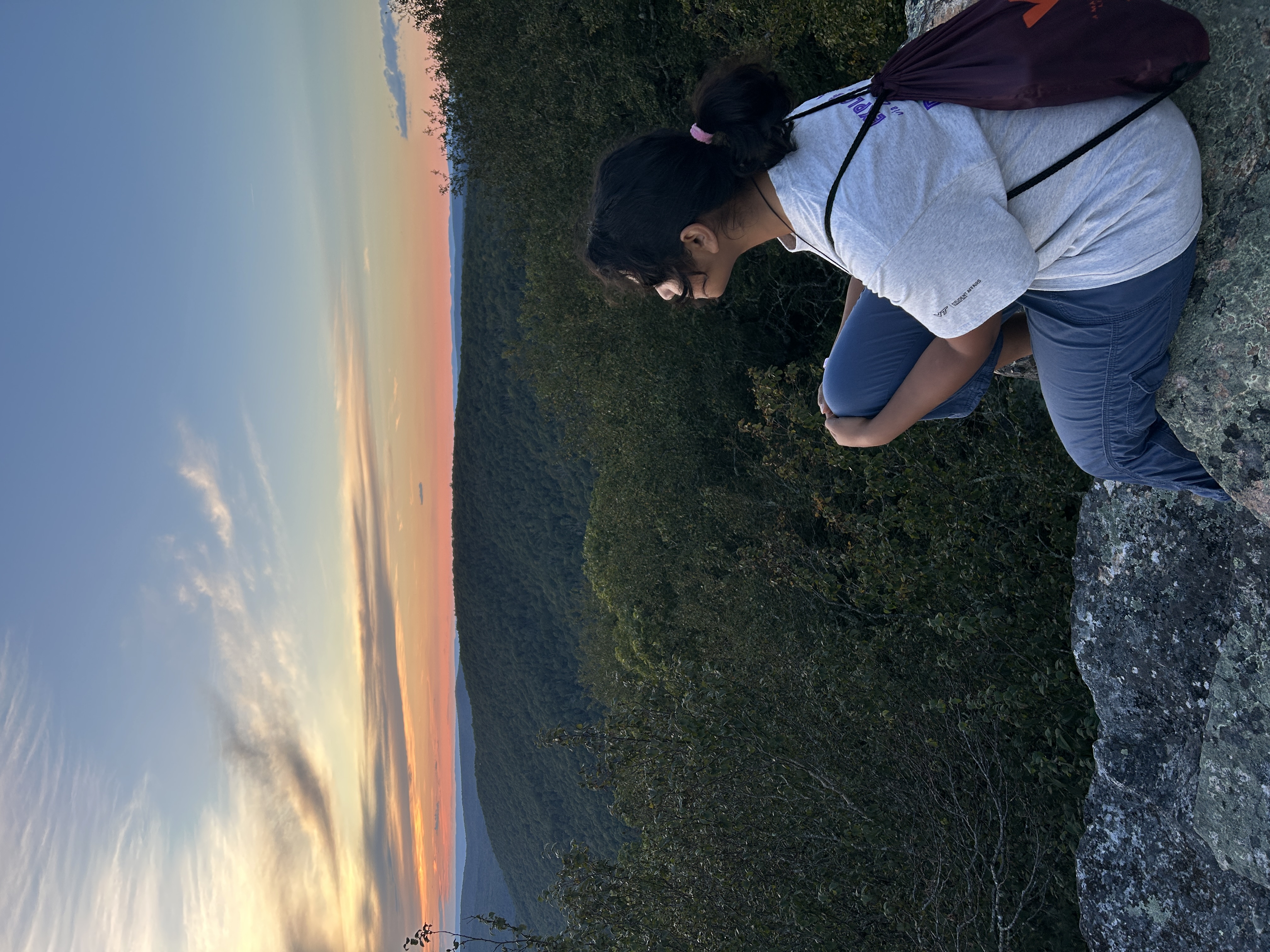 Navina's Hiking Trip to Bald Knob on rocks